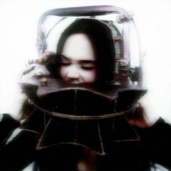 diversevinyl3119990