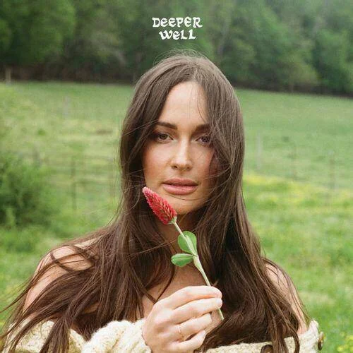 diversevinyl3122212