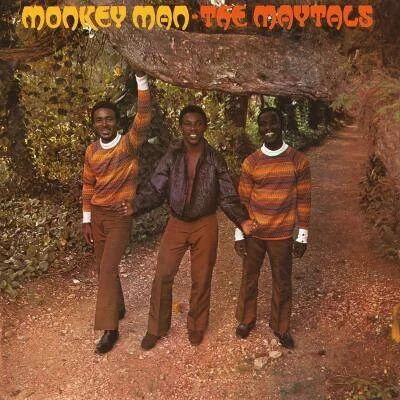 diversevinyl3165652