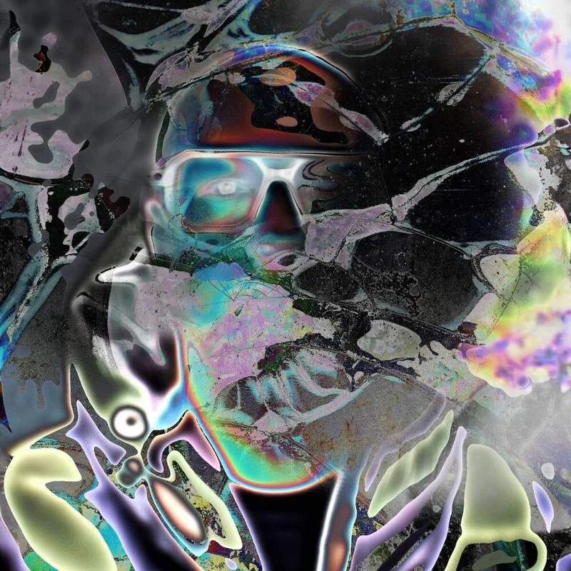 diversevinyl3176696