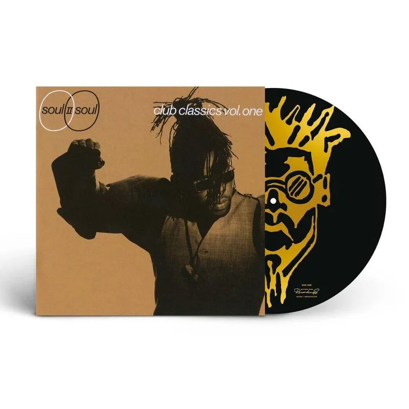 diversevinyl3196535