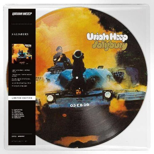 diversevinyl3213174