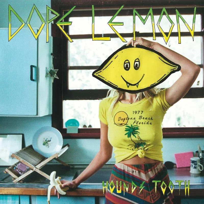 diversevinyl3223684