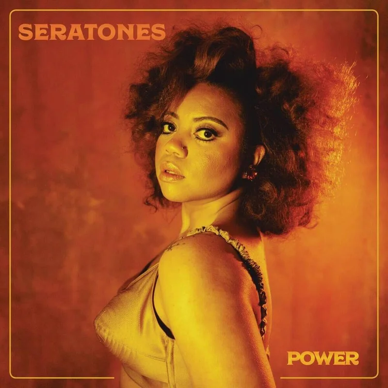 diversevinyl3234180