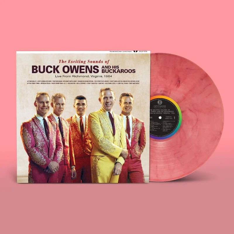 diversevinyl3253833