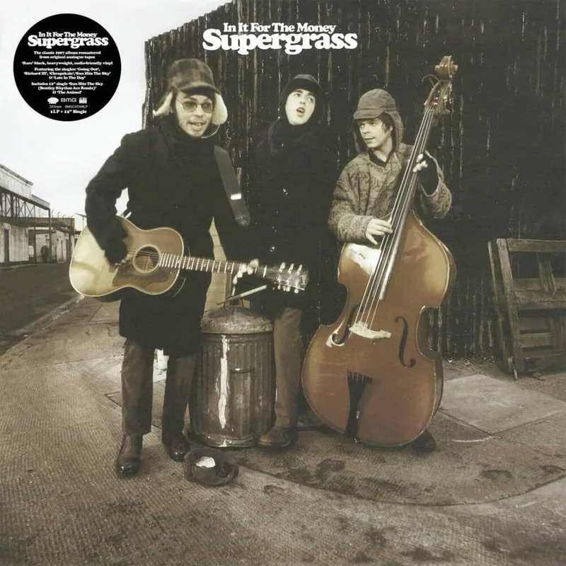 diversevinyl3262725