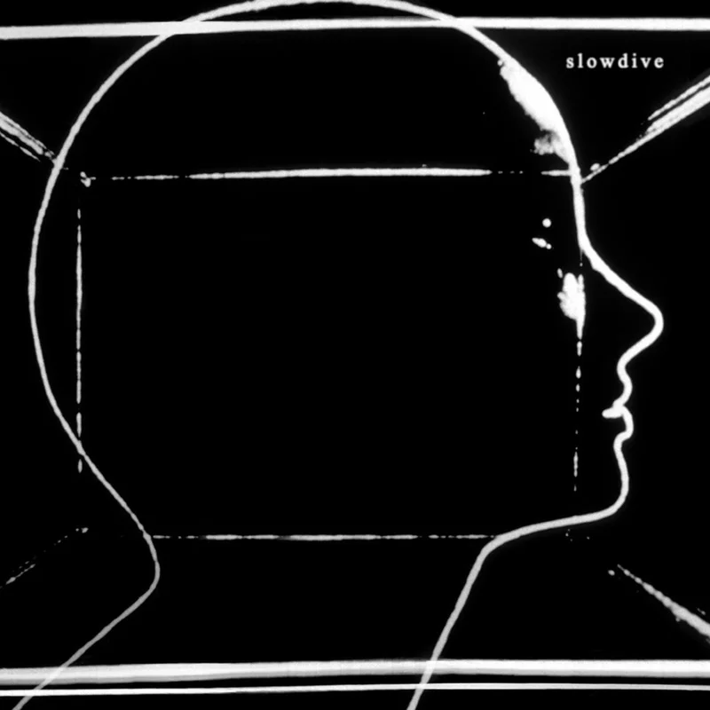 diversevinyl3268721
