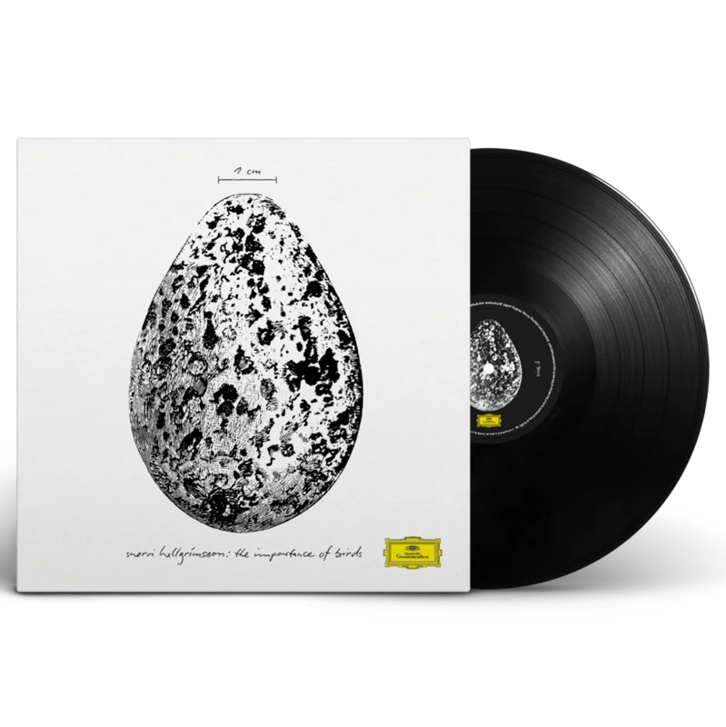 diversevinyl3285733