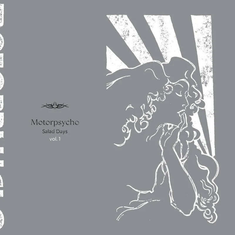 diversevinyl3306488