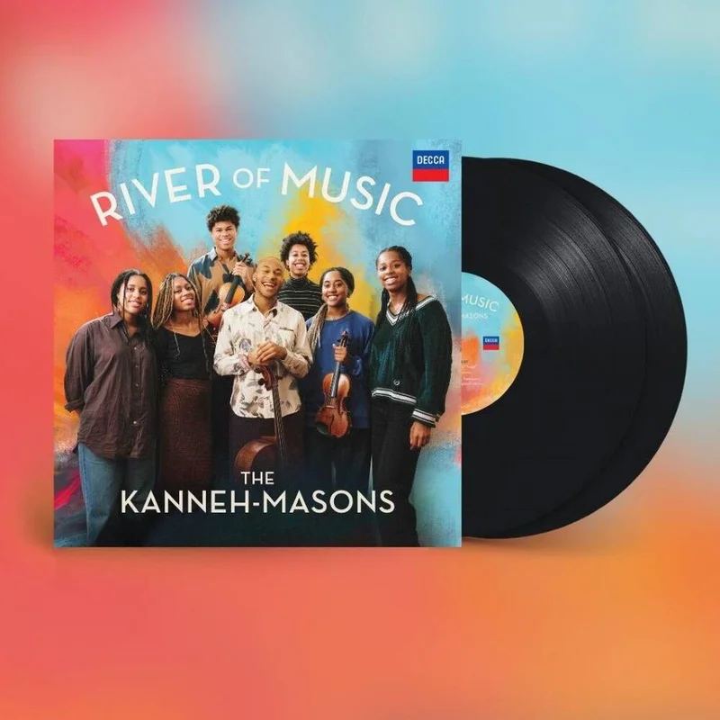diversevinyl3318396