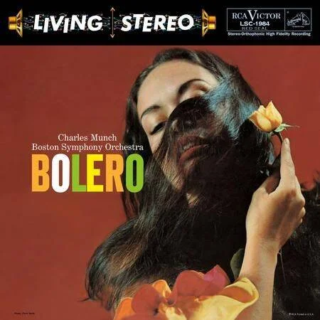 diversevinyl3338685