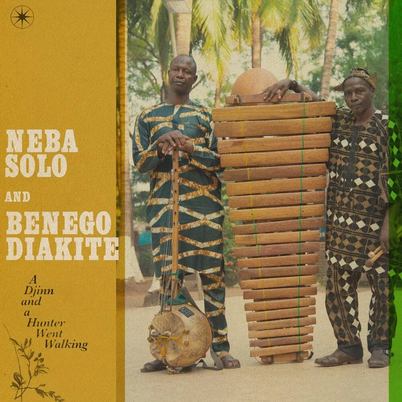diversevinyl3341142