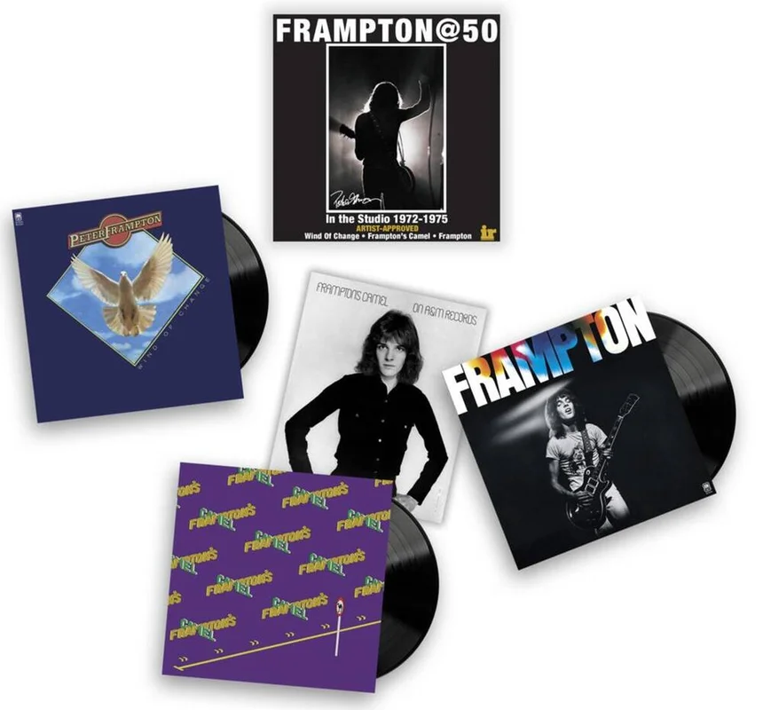 diversevinyl3346589