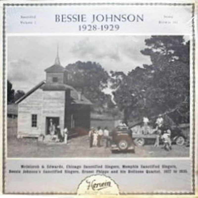 diversevinyl3372193