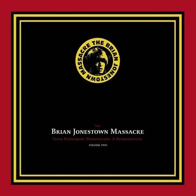 diversevinyl3379947