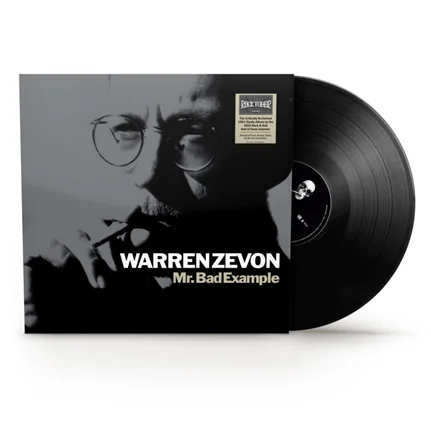 diversevinyl3389358