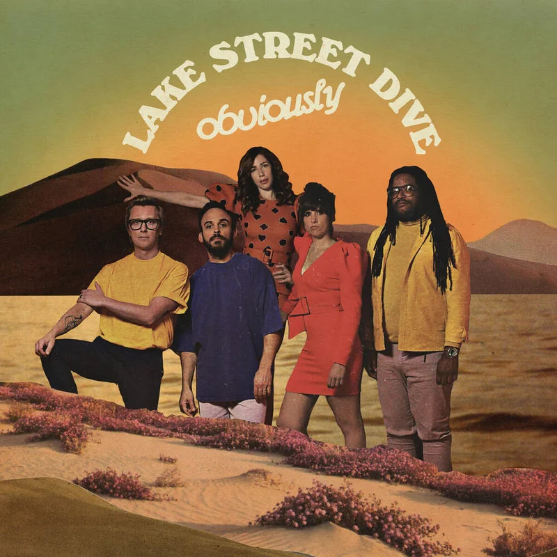 diversevinyl3396479