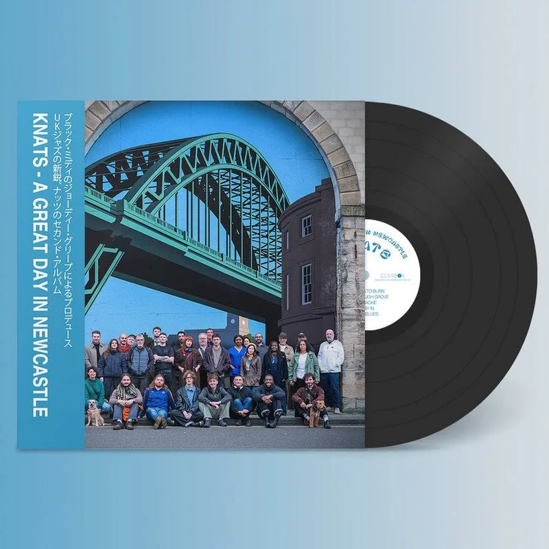 diversevinyl3410942