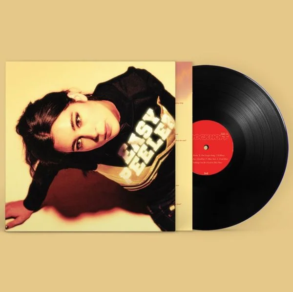 diversevinyl3423332