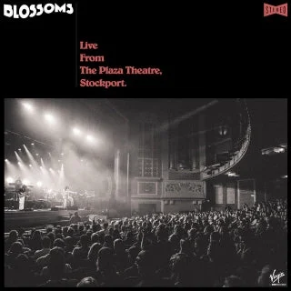 hundredrecords2588083