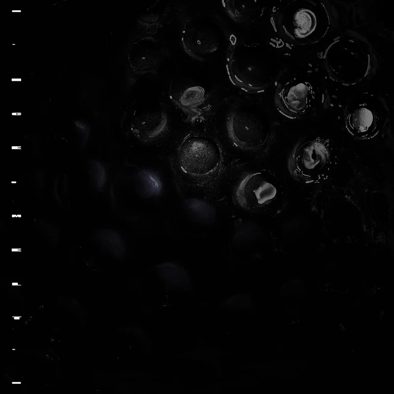 hundredrecords2596590
