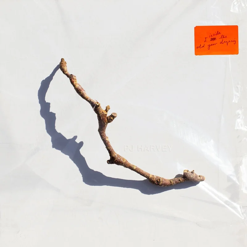 hundredrecords2620717