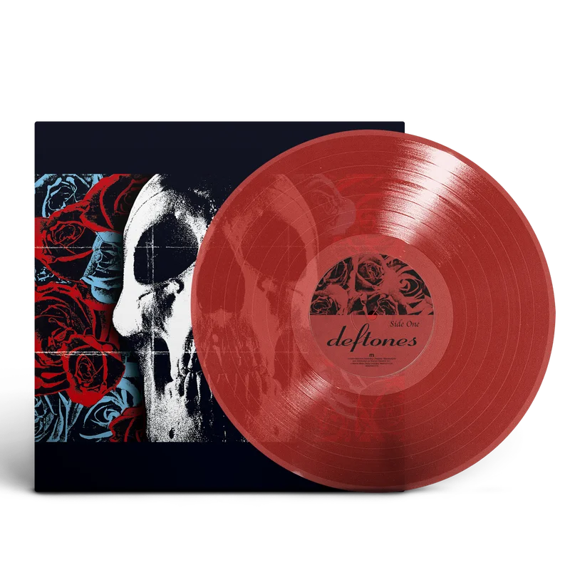 hundredrecords2621539