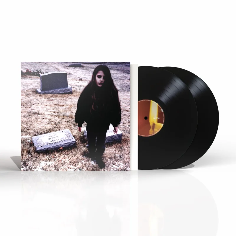 hundredrecords2662112