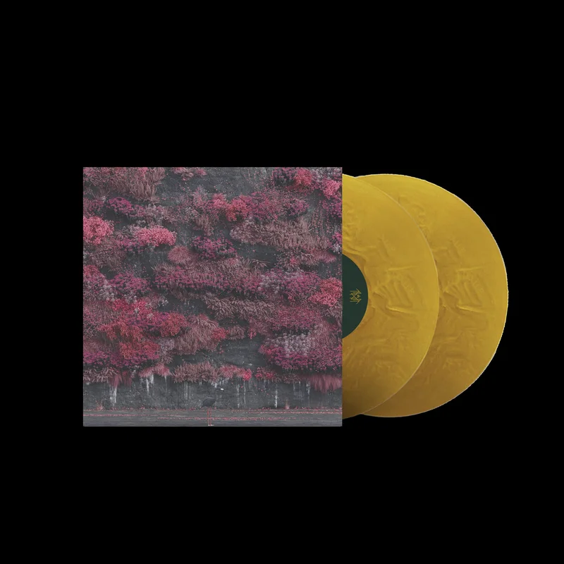 hundredrecords2665690