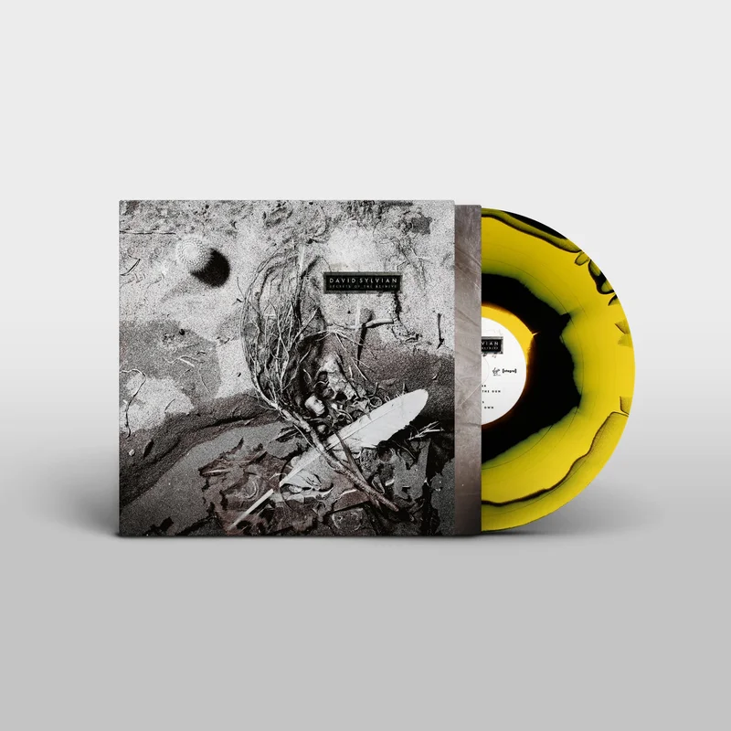 hundredrecords2687329