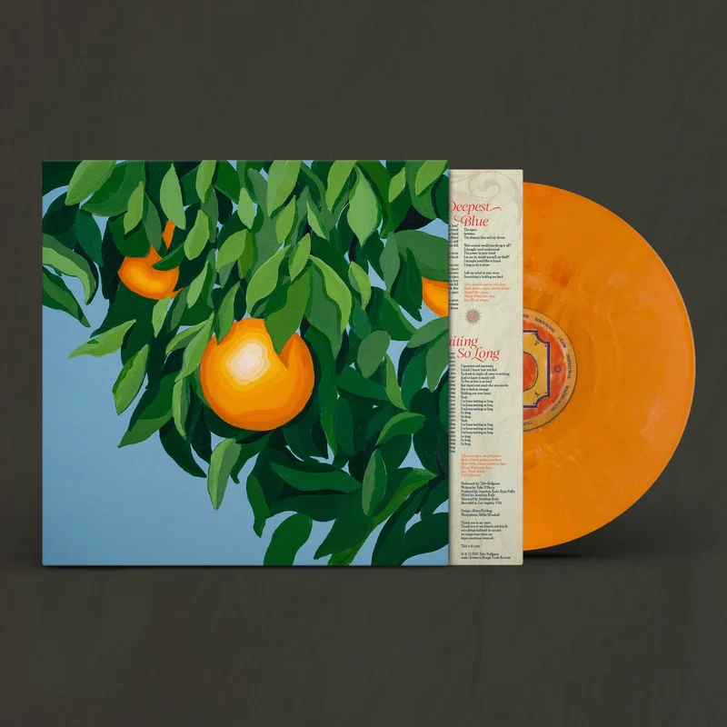 hundredrecords2689045
