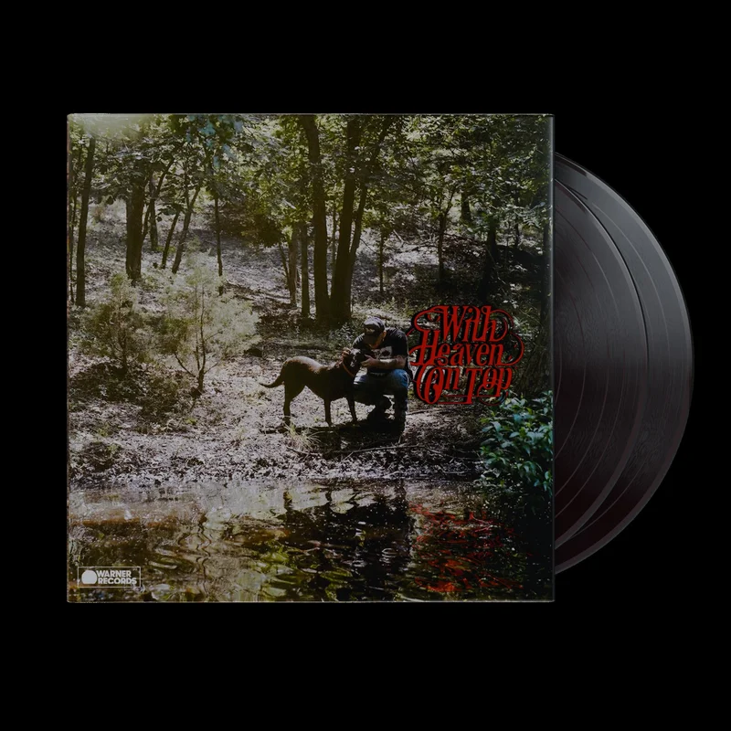 hundredrecords2695549