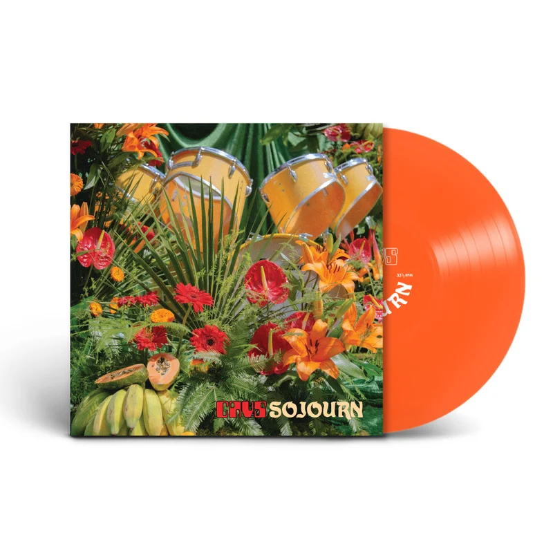 hundredrecords2699691