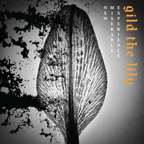 hundredrecords2700689