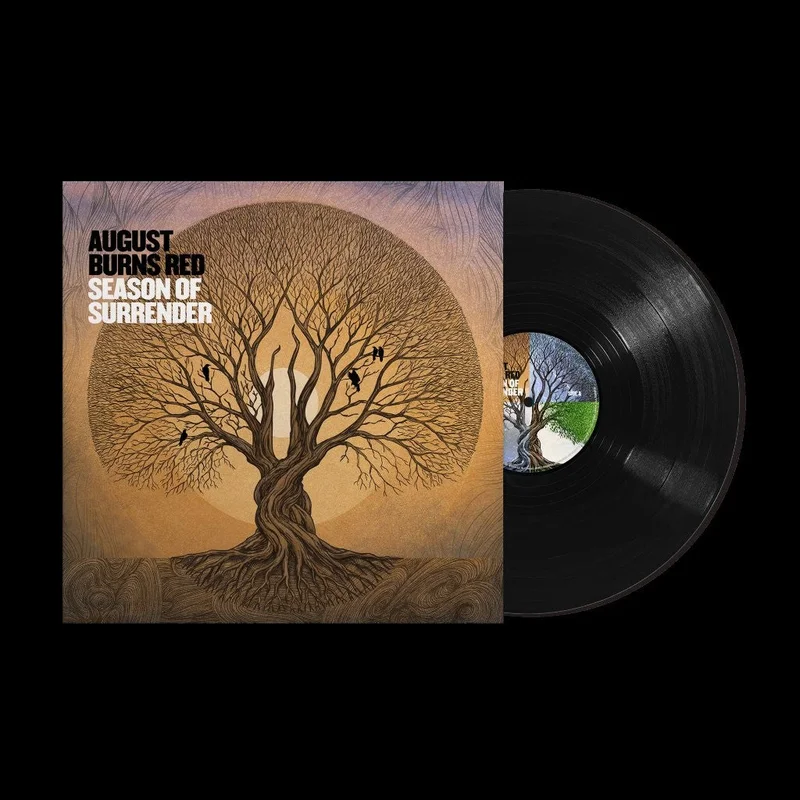 hundredrecords2702024