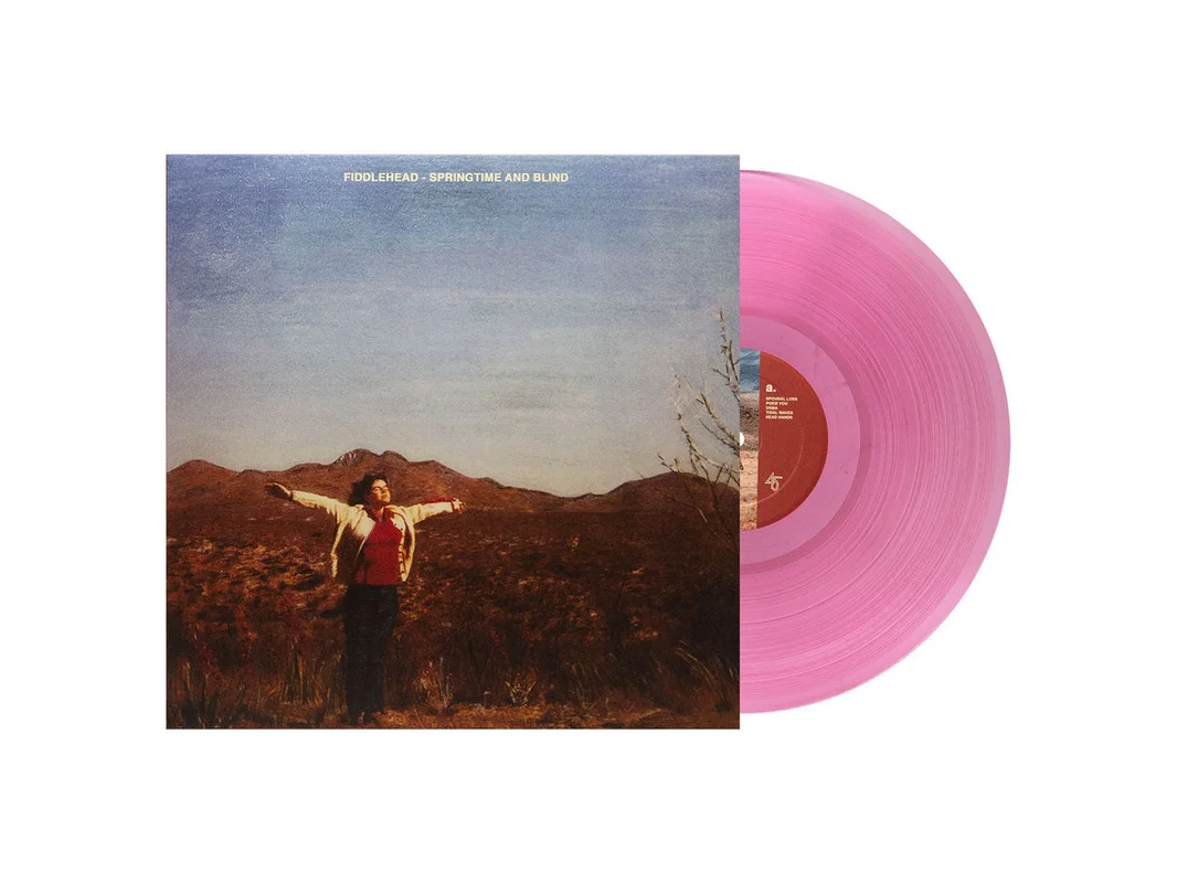 hundredrecords2704646