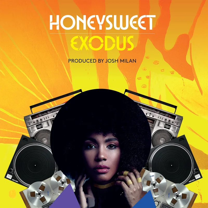vinylunderground2569284