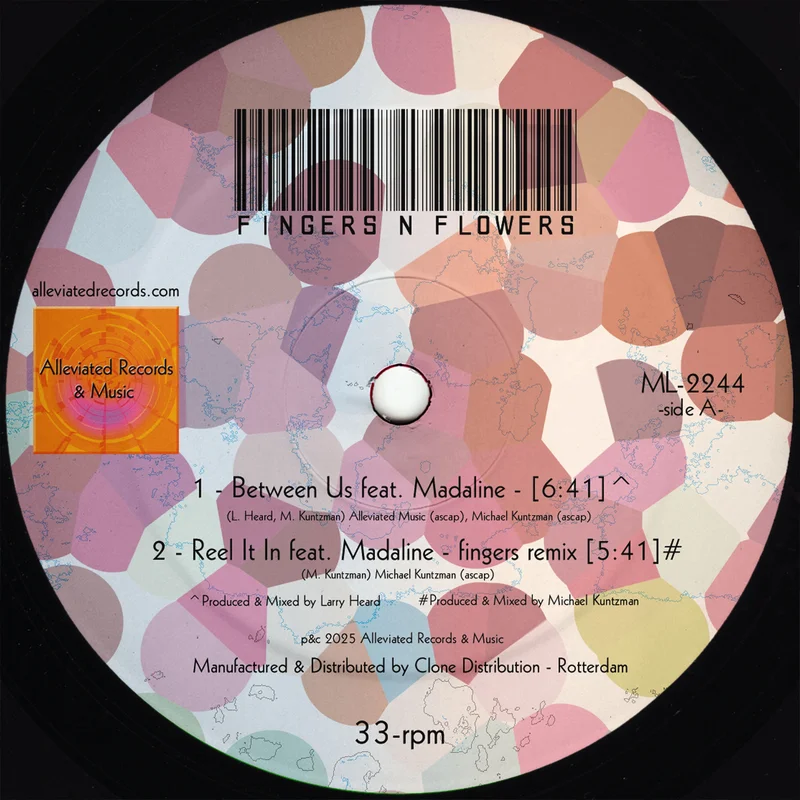 vinylunderground2584306