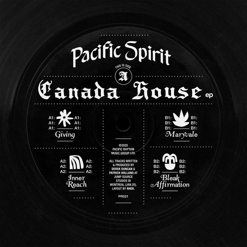 vinylunderground2597209