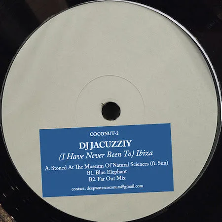 vinylunderground2622138