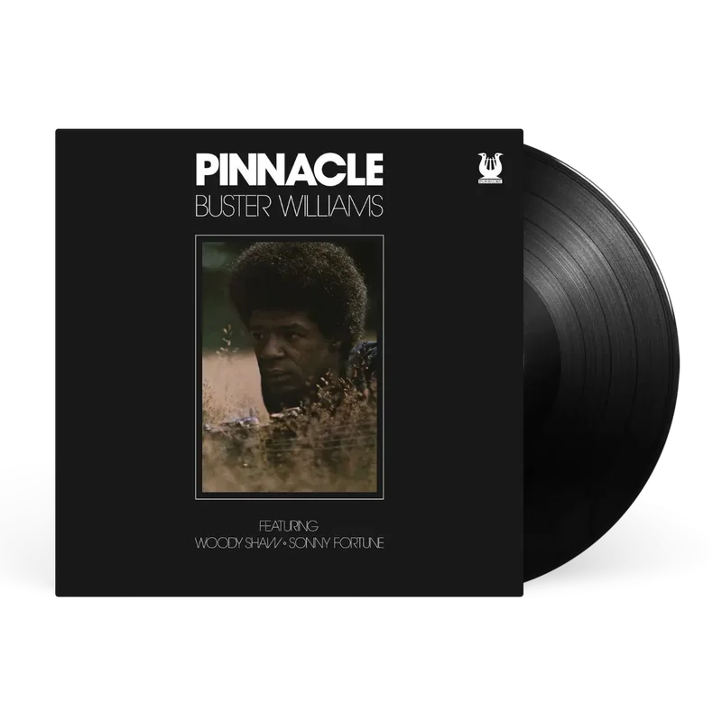 vinylunderground2625513